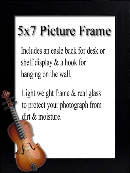 Cello Picture Frame