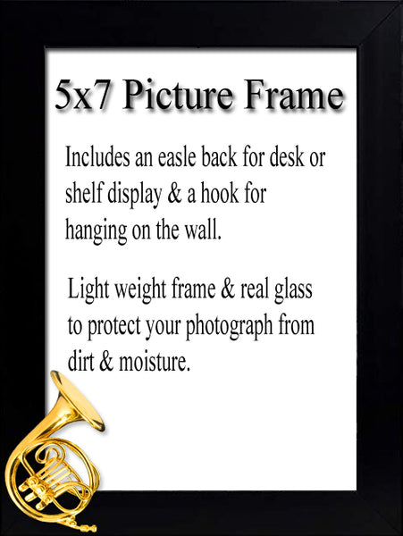 French Horn Picture Frame
