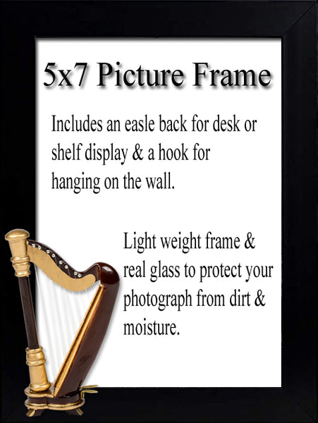 Harp Picture Frame