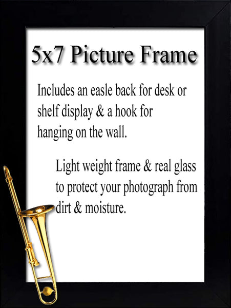 Trombone Picture Frame