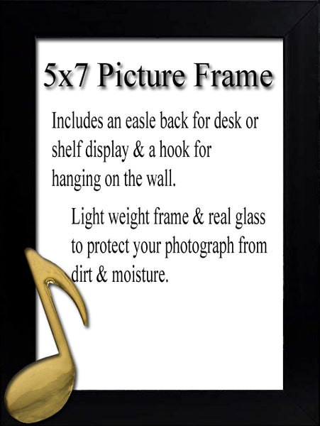 8th Note Picture Frame