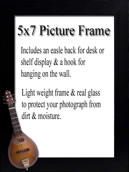 Mandolin Picture Frame