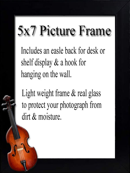 Upright Bass Picture Frame