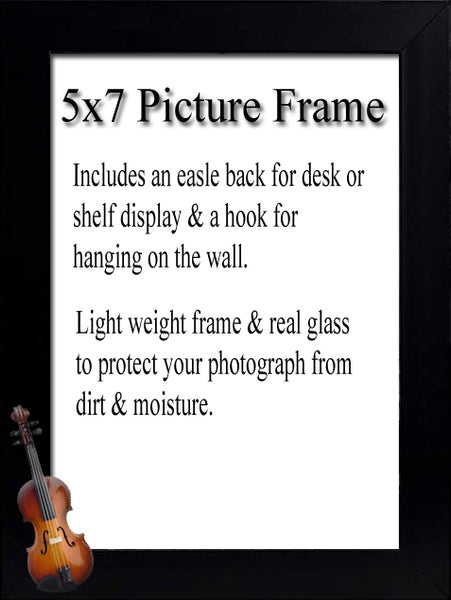 Fiddle Picture Frame